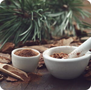 Pine Bark featured